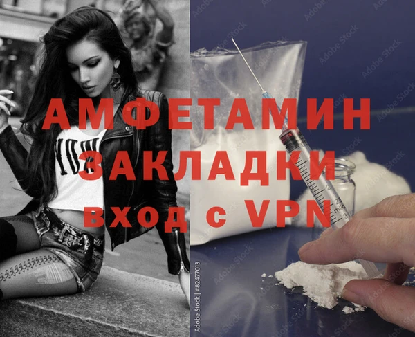 стаф Алзамай