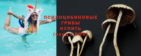 стаф Алзамай