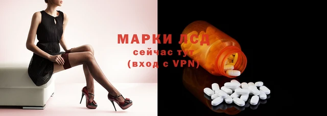 стаф Алзамай