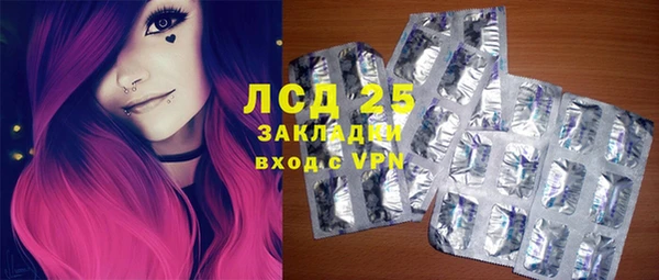 стаф Алзамай