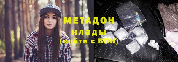 стаф Алзамай