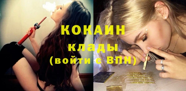 стаф Алзамай